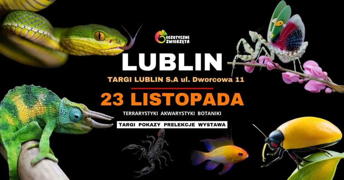 Egzotyczne Zwierzęta w Lublinie