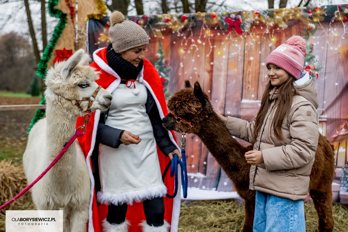Świąteczne atrakcje, alpaki i pyszności – III Jarmark Bożonarodzeniowy w Dworze Kulik