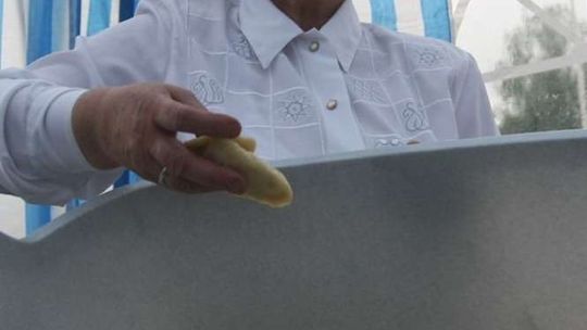 W krainie pierogów