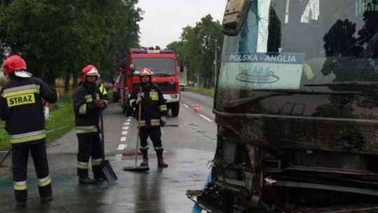Autobus i renault w rowie