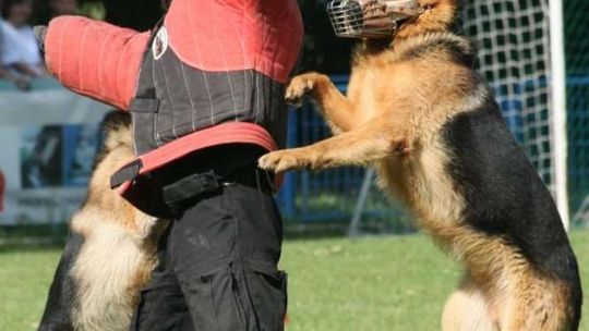 Świętowali policjanci 