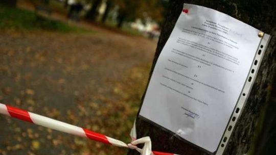 W Puławach zdychają ptaki