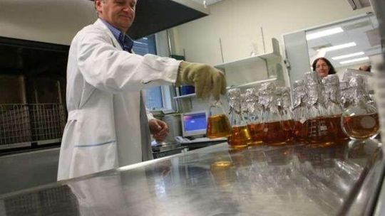 Superlaboratoria w Piwecie