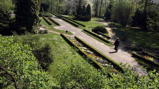 Ogród Botaniczny przed otwarciem