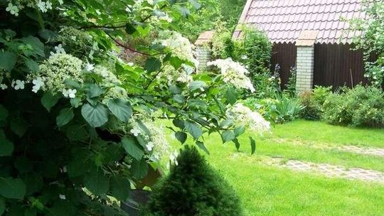 Konkurs na najpiękniejszy ogród