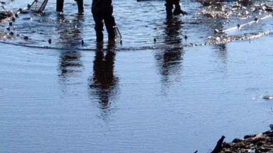 Stawy rybne w Momotach (nr 24)