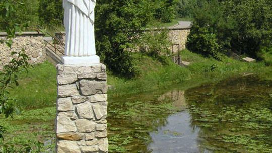 Źródliska w Janowie Lub. (nr 22)