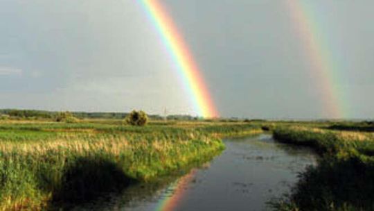 Dolina Tyśmienicy (nr 62)