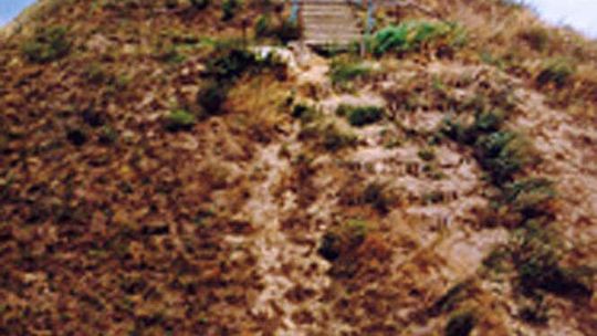 Kopiec H. Sienkiewicza w Okrzei (nr 45)