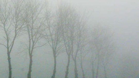 Mgły na Roztoczu (nr 75)