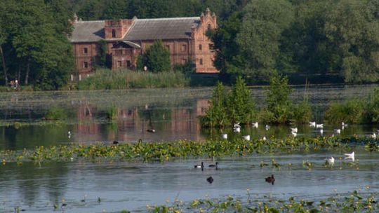 Młyn w Woli Rudzkiej (nr 49)