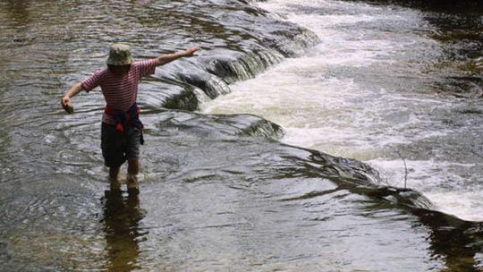 Szumy nad Tanwią (nr 76)