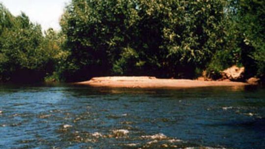 Wieprz w gminie Trawniki (nr 70)