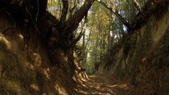 Wrzelowiecki Park Krajobrazowy (nr 51)