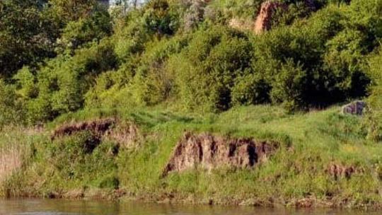 Zamek w Zawieprzycach (nr 41)