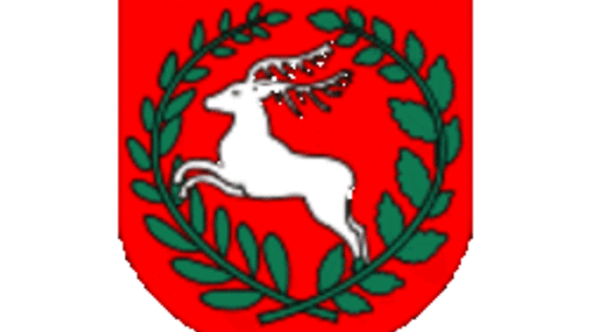ŁKS Łazy (nr 30)