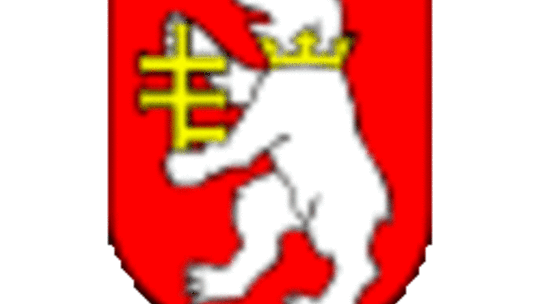 Unia Żabikow (nr 38)