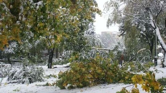 zdjęcia od internautów - śnieżyca