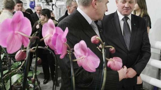 Nowa szklarnia w \"JMP flowers\".