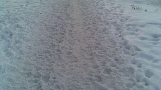 Jak odśnieżane są ulice i chodniki - zdjęcia Internautów