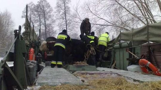 Wylał Bug w Mościcach Dolnych