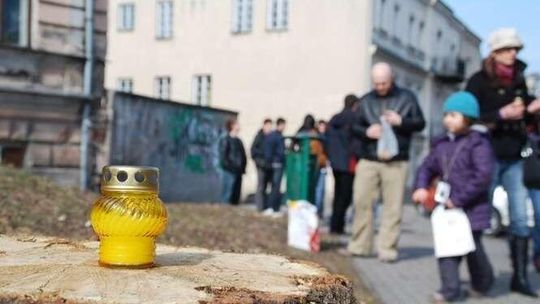 Protest przeciwko wycince drzew w Chełmie