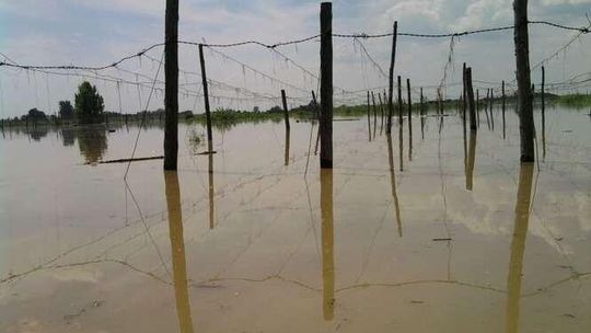 Zastów Karczmiski pod wodą