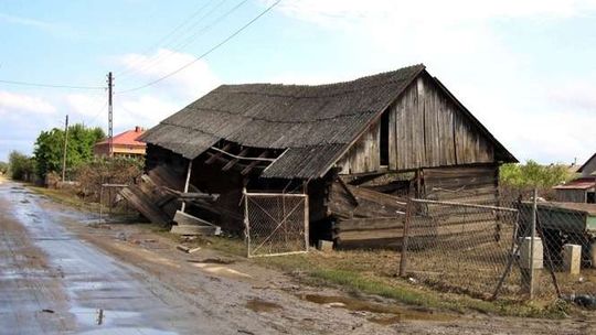 Wilków przed następna falą