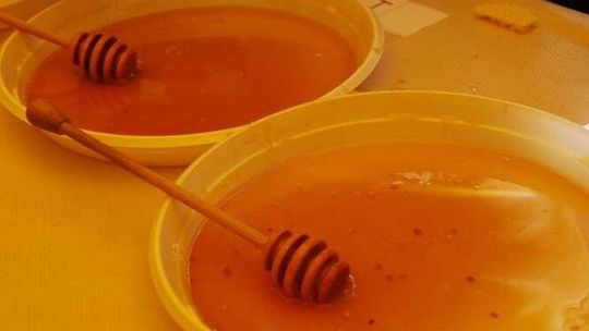 Nadbużańskie Święto Pszczoły 2010 Nadbużańskie Święto Pszczoły 2010