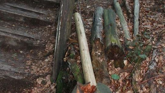 Kapliczka św. Rocha w Krasnobrodzie i jej otoczenie