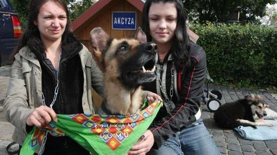 Zerwijmy łańcuchy.