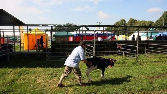 Wystawa rolnicza w Sitnie