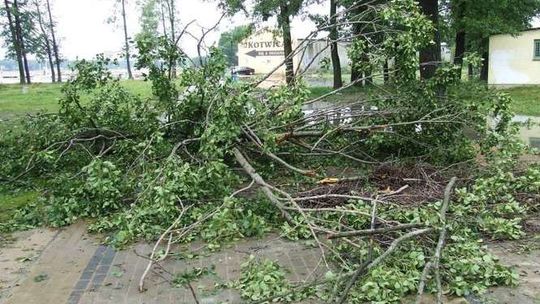 Okuninka bez prądu po burzy Okuninka bez prądu po burzy