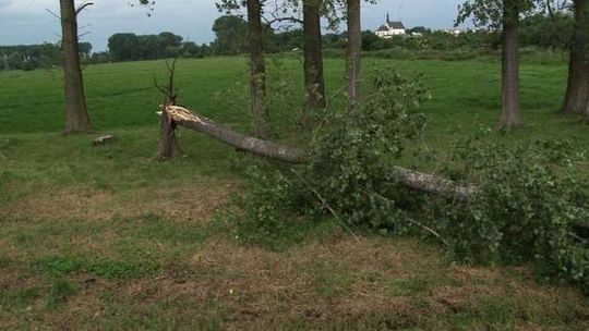 Wichura łamała drzewa i zrywała dachy na Podlasiu