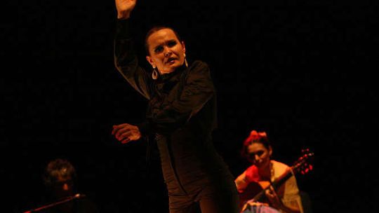 Festiwal Fiesta Alegria - koncert Solo Flamenco