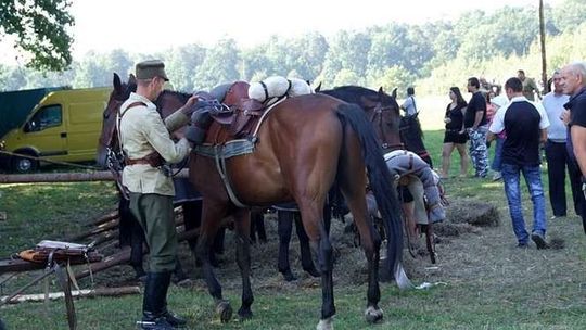 Rekonstrukcja bitwy pod Tomaszowem Lubelskim