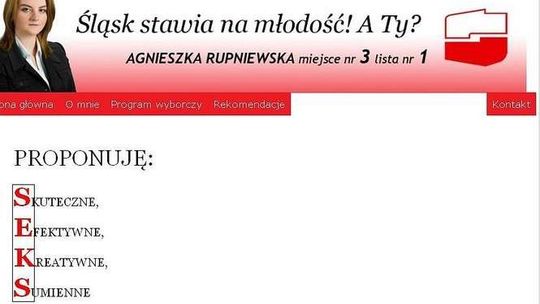 Wybory 2011 w sieci