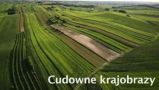 Reklama budowanego lotniska w Świdniku