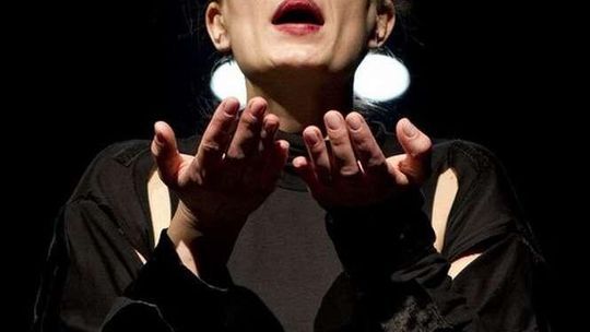 Komornicka. Biografia pozorna