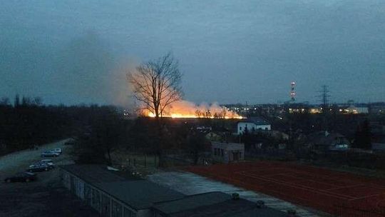 Pożary traw w Lublinie