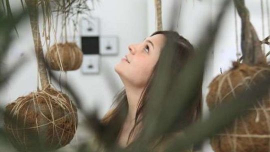 Ars Loci w Warsztatach Kultury