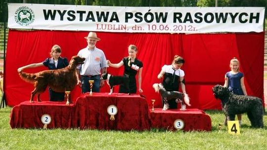 XLVIII Krajowa Wystawa Psów Rasowych