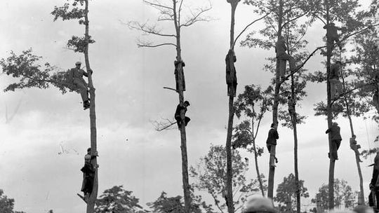 Strefy kibica dawniej (zdjęcia)