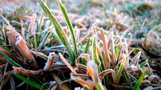 Konkurs rowerowy: Grzegorz Rodaczek