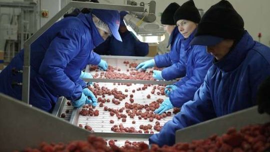 Bioconcept - Gardenia Sp. z o.o. w Tarnogrodzie 