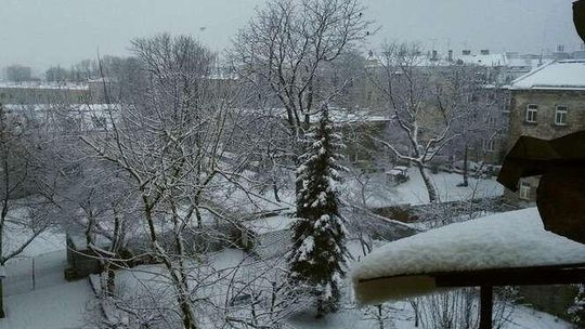 Zima znowu w Lublinie