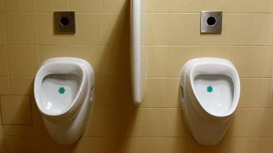 Najbardziej kosztowne WC w Lublinie