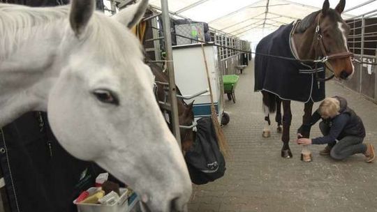 Ostatnie przygotowania do Cavaliady