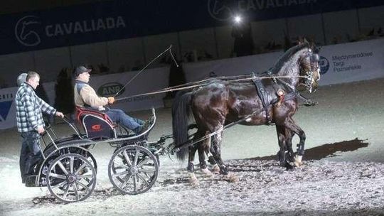 Cavaliada w Lublinie 