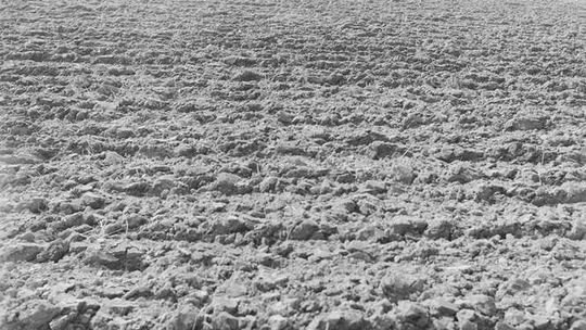 Jak kiedyś wyglądały na wsi przygotowania do wiosny